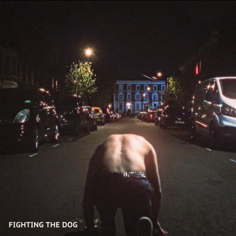 Fighting The Dog | Boomplay Music