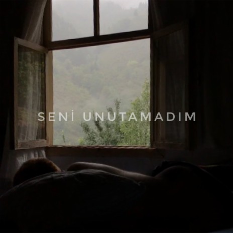 Seni Unutamadım | Boomplay Music