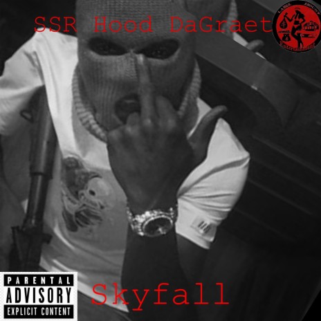 SkyFall | Boomplay Music