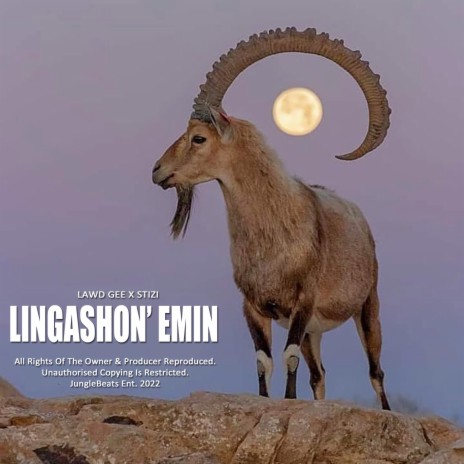 Lingashona emini ft. Lawd Gee x Stizi | Boomplay Music