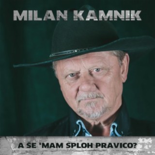 Milan Kamnik