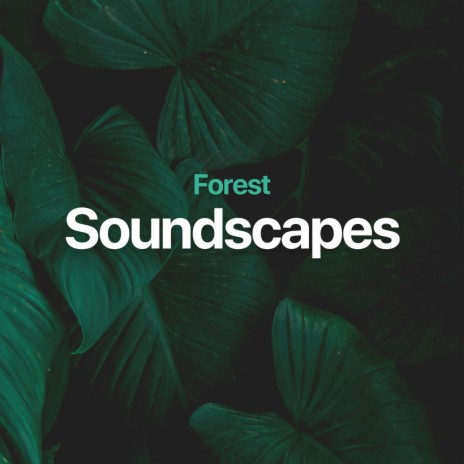 Streams of Strength ft. Relaxing Nature Recordings & Forest Soundscapes | Boomplay Music