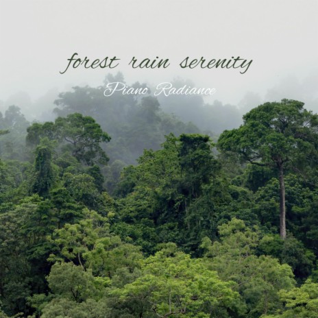 Forest Rain Serenity | Boomplay Music