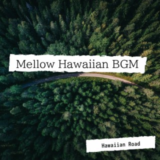 Mellow Hawaiian BGM
