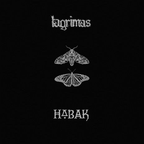 Infinitas noches de vigilia ft. Habak | Boomplay Music