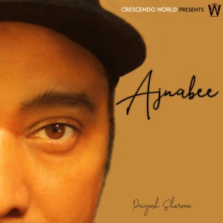 Ajnabee lyrics | Boomplay Music