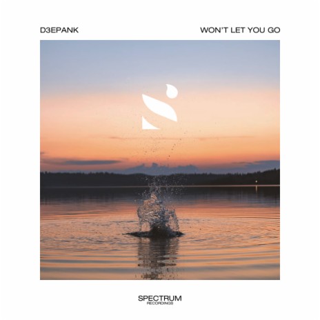 Won't Let You Go | Boomplay Music