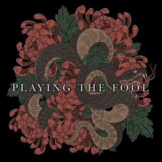 PLAYING THE FOOL lyrics | Boomplay Music