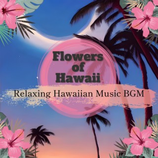 Relaxing Hawaiian Music BGM