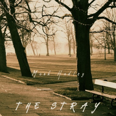 The Stray | Boomplay Music