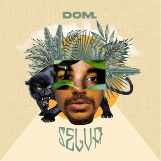 Dom.