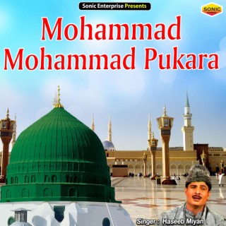 Mohammad Mohammad Pukara