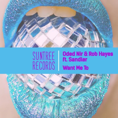 Want Me To (Radio Edit) ft. Rob Hayes & Sandler
