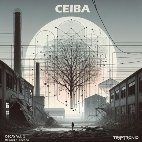 Ceiba | Boomplay Music