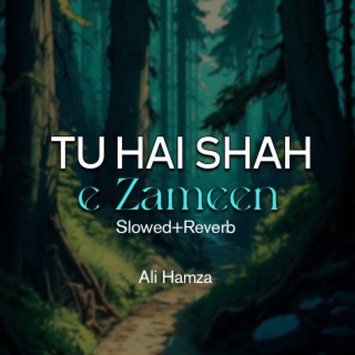 Tu Hai Shah e Zameen Lofi