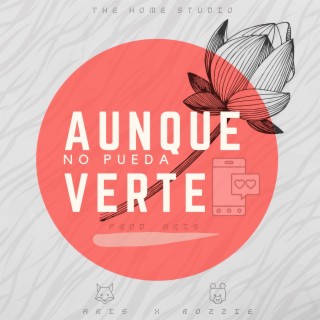 Aunque No Pueda Verte