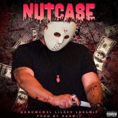 NutCase | Boomplay Music