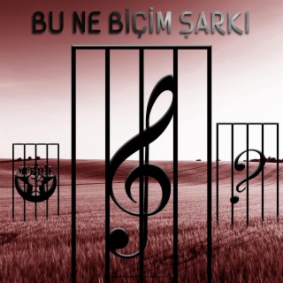 Bu Ne Biçim Şarkı? lyrics | Boomplay Music