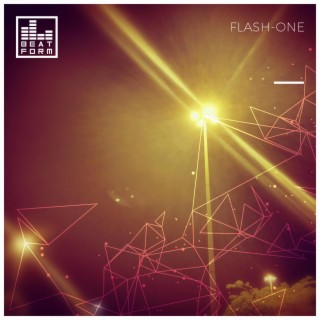 FLASH-ONE