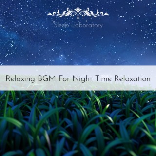 Relaxing BGM For Night Time Relaxation