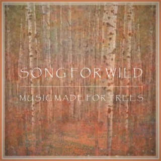 Song for Wild