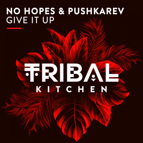 Give It Up (Radio Edit) ft. Pushkarev | Boomplay Music