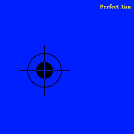 Perfect Aim | Boomplay Music