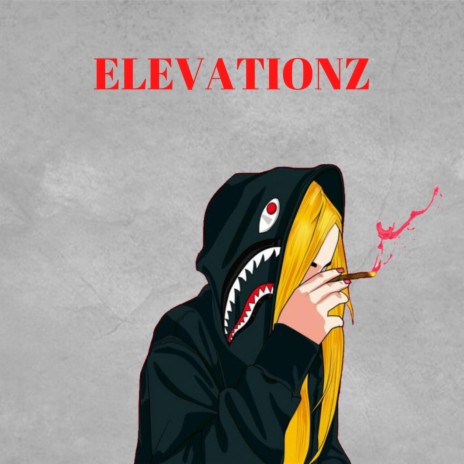 Elevationz (Instrumental) | Boomplay Music