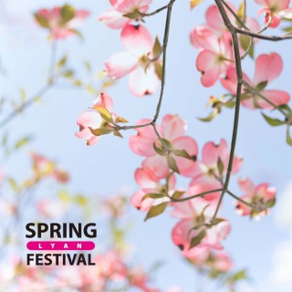 Spring Festival