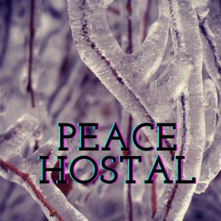 peace hostal