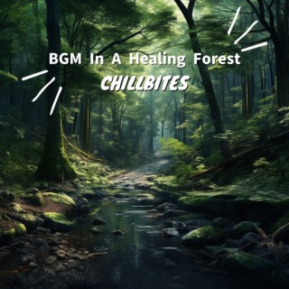 BGM In A Healing Forest
