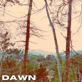 Dawn