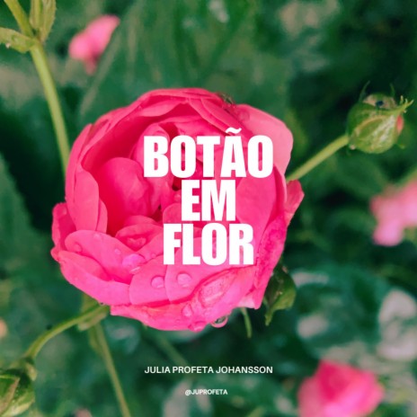 Botäo em Flor | Boomplay Music
