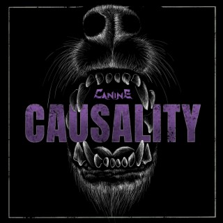 Causality lyrics | Boomplay Music