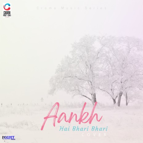Aankh Hai Bhari Bhari (Cover)