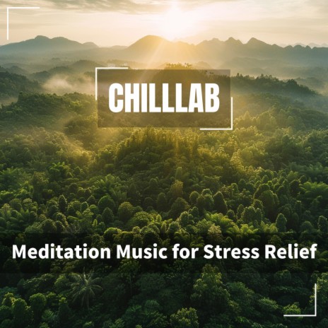 Calming Breeze Drifts | Boomplay Music