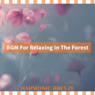 BGM For Relaxing In The Forest