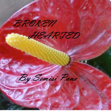 Broken Hearted | Boomplay Music