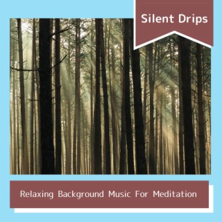 Relaxing Background Music For Meditation