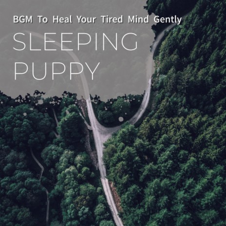 Patient Music | Boomplay Music