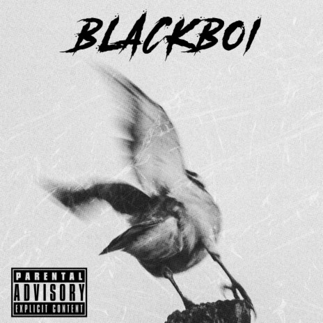 Blackboi | Boomplay Music