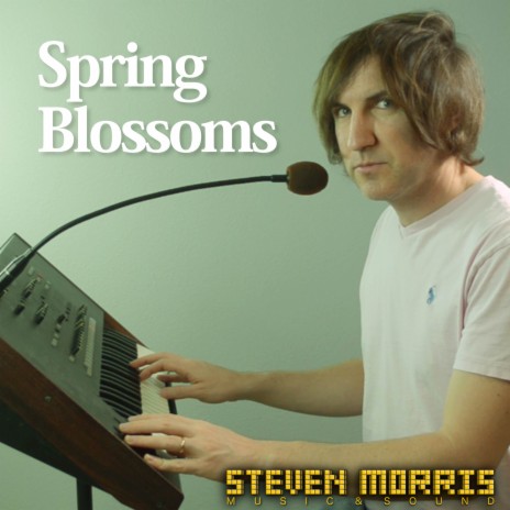 Spring Blossoms (From Animal Crossing) (Cover Version) | Boomplay Music