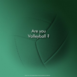 Are You Volleyball