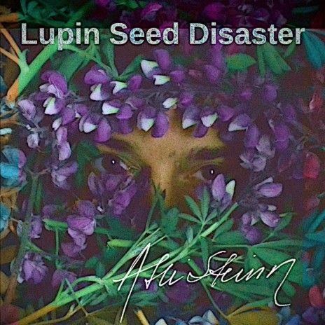 Lupin Seed Disaster | Boomplay Music