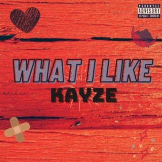 What I like (feat. Chris J Bo)