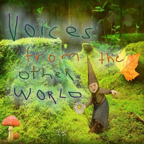 Voices from the other world | Boomplay Music
