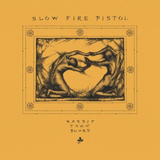 Slow Fire Pistol