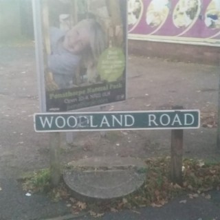 WOODLAND ROAD
