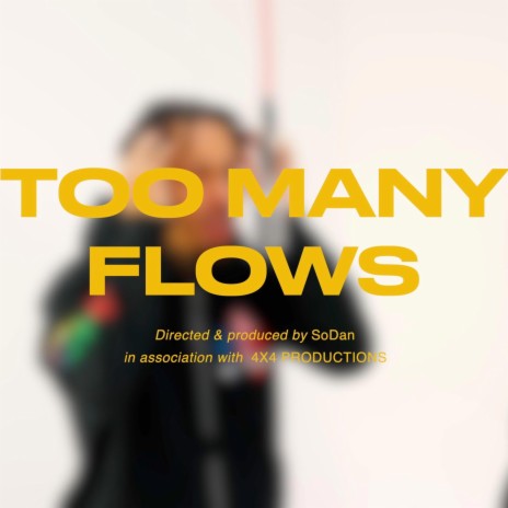 Too many flows ft. Lil Rafe | Boomplay Music