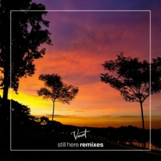 Still Here Remixes